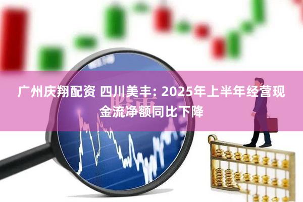 广州庆翔配资 四川美丰: 2025年上半年经营现金流净额同比下降