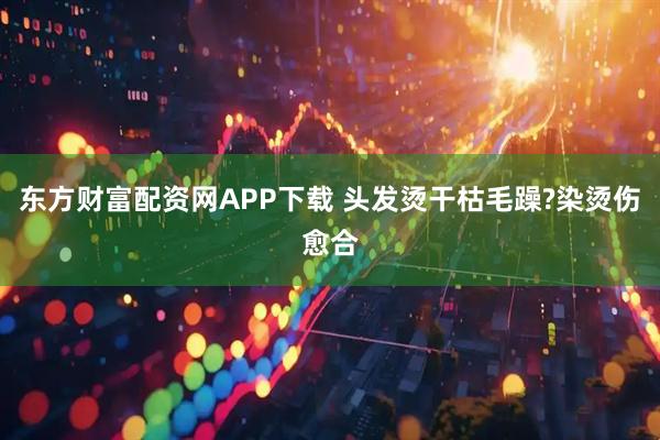东方财富配资网APP下载 头发烫干枯毛躁?染烫伤愈合