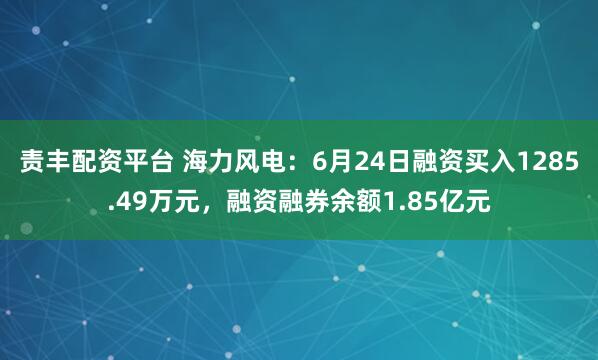 责丰配资平台 海力风电：6月24日融资买入1285.49万元，融资融券余额1.85亿元
