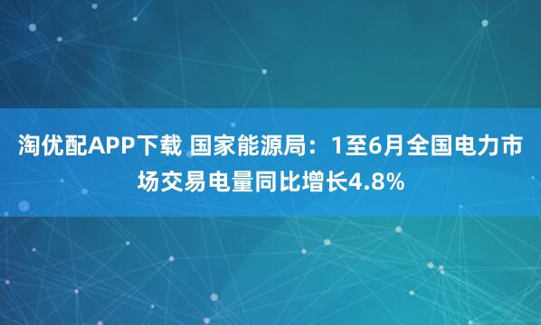 淘优配APP下载 国家能源局：1至6月全国电力市场交易电量同比增长4.8%