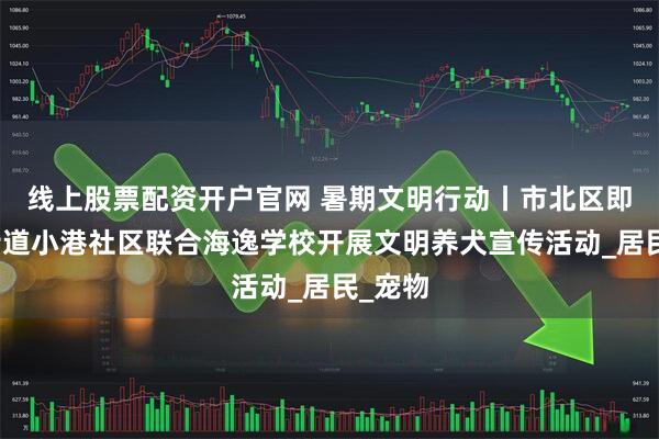 线上股票配资开户官网 暑期文明行动丨市北区即墨路街道小港社区联合海逸学校开展文明养犬宣传活动_居民_宠物