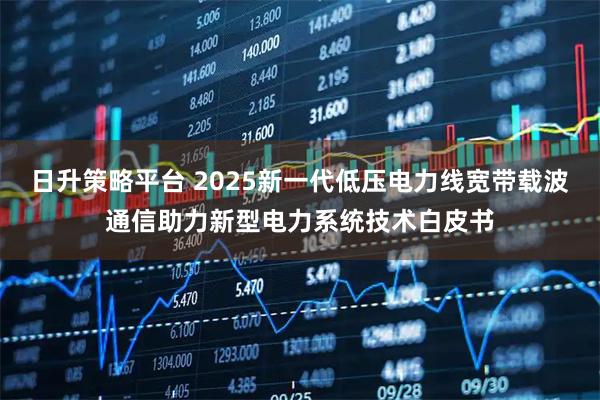 日升策略平台 2025新一代低压电力线宽带载波通信助力新型电力系统技术白皮书